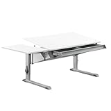 Moll Sprinter Kinderschreibtisch höhenverstellbar | mitwachsend, ergonomisch &...