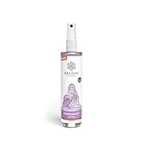 Baldini Raumspray Buddhaduft Demeter 50ml