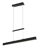 Reality Leuchten LED Pendelleuchte Paros R32043132, Metall Schwarz Matt, mit 21...