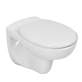 LAVITA Wand-WC Arctic Hänge Toilette Toilettendeckel mit Absenkautomatik &...