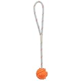 Trixie 33481 Ball am Seil, Naturgummi, schwimmt, ø 4,5/35 cm