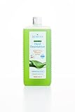 SETASAN premium Handdesinfektion 1.000 ml – Desinfektionsmittel mit Aloe Vera...