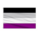 AhfuLife Asexuelle Pride Flaggen 90 x 150 cm, 1 Stück Asexual Flagge LGBT...