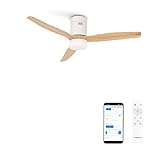 CREATE / WINDCALM S/Deckenventilator ABS mit Beleuchtung Weiß...