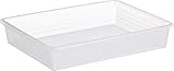 Rotho Linus Aufbewahrungsschale A4, Kunststoff (PP) BPA-frei, transparent, A4...