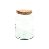 Halboffene Terrarium Flasche Glas 5L Pflanzen Deko Gewächs Haus Blumen Kork...