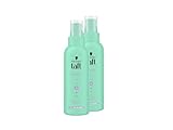 Schwarzkopf Taft Föhn-Spray Volumen (2x 150ml), Haltegrad 3, Föhnspray für...
