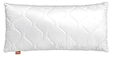 sleepling Basic 100 Kopfkissen, 40 x 80 cm, Ökotex, waschbar bis 60 Grad, Made...