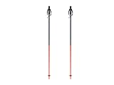 Fischer Skistöcke OneWay GT18 Flame 120cm All Mountain Alpin Stöcke Aluminium