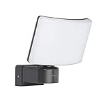 Oktaplex lighting LED Außenstrahler Außen Cali 30W | Wand Strahler IP65 3000K...