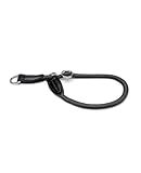 lionto Hundehalsband aus strapazierfähigem Nylon für Hundetraining, Länge 45...