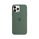 Apple Silikon Case mit MagSafe (für iPhone 13 Pro Max) - Eukalyptus
