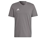adidas Herren Entrada 22 Tee, Team Grey Four, M