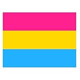 Große Pan Pride Flagge 3x5 FT Aus Robustem Stoff | Helle, Farbenfrohe...