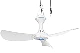 PEARL Deckenventilator 12V: Mobiler 12-V-Deckenventilator mit Aufhänger, Ø 46...