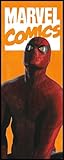 Komar Marvel Vlies Fototapete - Spider-Man Comic - Größe: 100 x 250 cm (Breite...