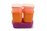 TUPPERWARE Gefrier-Behälter 1 L + 1,1L (2) + 450 ml (2) Eis-Kristall...