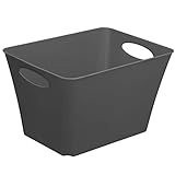 Rotho Living Aufbewahrungsbox 44l, Kunststoff (PP) BPA-frei, anthrazit, 44l...