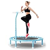 FitinOne 200KG Faltbares Fitness Mini Trampolin Ø 102CM mit Bungee Bänder,...