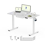 FlexiSpot Höhenverstellbarer Schreibtisch Basic–Mit Kabelmanagement, Haken...