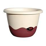 Mareta Blumenampel zum Aufhängen, 30 cm - Selbstbewässerungstopf mit Kette -...