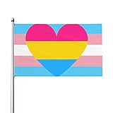 Transgender Trans and Pan Pansexual Pride Flagge Herz Willkommen Party Outdoor...