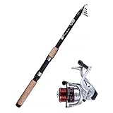 Zite Fishing Angelset Allround - Karpfen Aal Teleskoprute 270cm 30-80g...