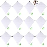 ZOYLINK Weißer Drachen für Kinder, Outdoor-Spiel, Spielzeug, kreatives...