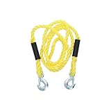 CARPOINT 0178703 Abschleppseil 5000 3 Meter mit Haken Abschleppgurt LKW...