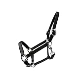 German Riding Lederhalfter Basic schwarz unterlegt verstellbar an Nase und...