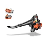 FUXTEC 40 Volt 2in1 Akku-Laubbläser/-Sauger Set FX-E2LBS-SET, leistungsstarker...