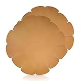 Dauerbackfolie Springform 2er Set - Dauerbackpapier für Heißluftfritteuse -...
