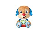 Fisher-Price HCJ15 - Lernspaß Riesen Hündchen, großes musikalisches...