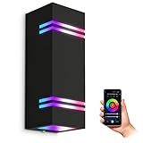 SSC-LUXon JOVO-L Wandlampe schwarz modern IP44 inkl. 2x Smart WiFi RGB GU10 LEDs...