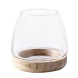 Runde Fischschale Aus Glas | Aquarium Fischglas, Klarglas Hydrokultur...