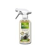 BIPLANTOL® Tillandsien Spray 500ml | Anwendungsfertiges Bio Pflegespray für...