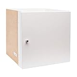 IKEA Kallax Expedit Einsatz mit Tür in Weiß (33 x 33 cm), holz, weiß, 33x33...