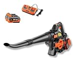 FUXTEC 40 Volt 2in1 Akku-Laubbläser/-Sauger Set FX-E2LBS-SET, leistungsstarker...