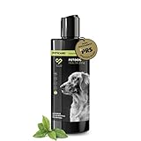 Peticare Anti-Parasiten Hunde-Shampoo | gegen Milben Flöhe Pilze | lindert...