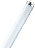 Leuchtstofflampe L 30 Watt 865 Tageslicht - Osram 30W