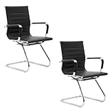 chairus Freischwinger Stühle 2er Set, PU-Leder Besucherstuhl Konferenzstuhl...