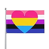 Pan Pansexual Genderfluid Pride Flagge, Willkommens-Party, Outdoor,...