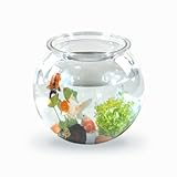 Mobiclinic® Pets, Kugelaquarium, Nemo, 4 Liter, Pet eco Kunststoff,...