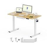FlexiSpot Höhenverstellbarer Schreibtisch Basic–Mit Kabelmanagement, Haken...
