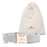 FREUDENTIER Hundehalsband aus veganem Leder - Weich, komfortabel und robust -...