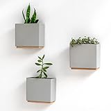 Kazai. Wandvasen -Alma- | Moderne Hängende Blumentöpfe für die Wand |...