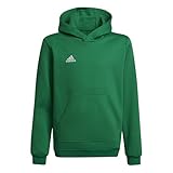 adidas Unisex Kinder Entrada 22 Sweat Hoodie, Team Green/White, 152