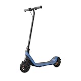 Segway Ninebot C2 Lite Kinder E-Scooter – Elektro Roller für Kinder (6-10...