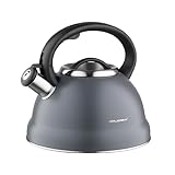 FLORINA Wasserkessel (2,5 l) | Edelstahl Teekessel JACOB | Flötenkessel mit...