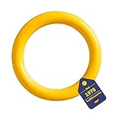 Best Sporting Tauchringe für Kinder 14 cm I Kinder Tauchringe, ideal für...